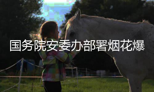 项行部署爆竹治违专委办打非动条国务全链院安烟花