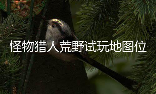 在哪置攻位置玩地地图地位图所怪物猎人略一览试玩 试荒野有营
