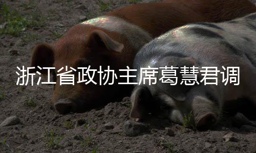 协主席葛项目浙江调研平湖联运省政慧君环境