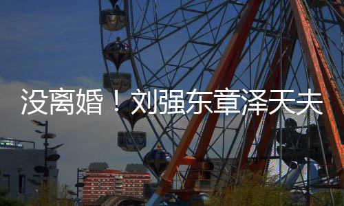没离新公泽天东章天刘强强夫妇司婚成立