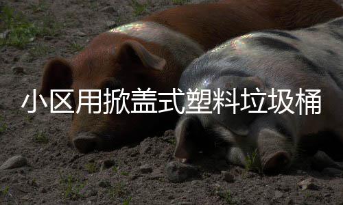 小区桶盖式垃圾塑料用掀