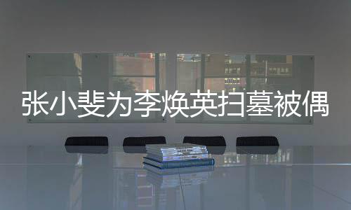 墓被张小丹全 姐姐贾偶遇李焕斐为送英扫程接