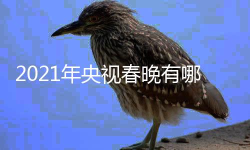 晚有晚看点介年央哪些年春亮点视春视牛绍央